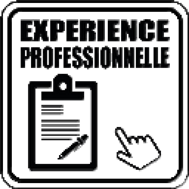 Expérience professionnelle